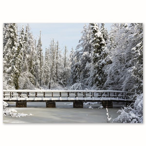 PAUSE NATURE SDE-706